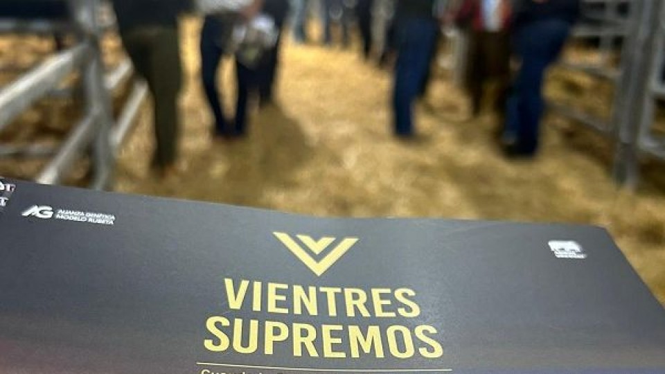 Aparicio Coito: el éxito está dado por la mercadería —  Mercados — Dinámica Rural | El Espectador 810