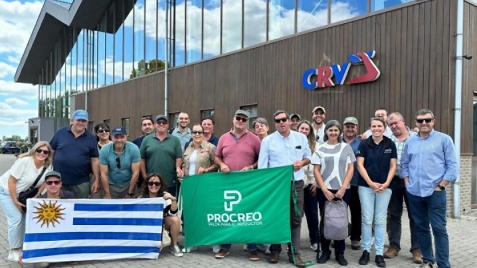 Una mirada uruguaya en la producción lechera neerlandesa  —  Lechería — Dinámica Rural | El Espectador 810