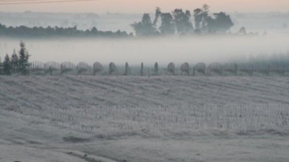 José Serra: una gran ola de frío hasta el próximo miércoles —  Clima — Dinámica Rural | El Espectador 810