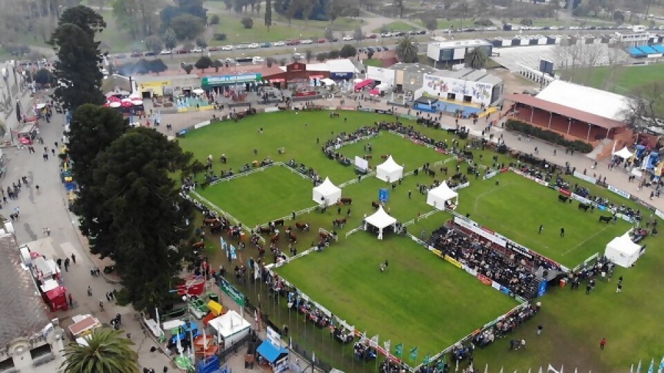 Ferber de cara a Expo Prado: números consolidados con el profesionalismo de la reproducción  —  Exposiciones — Dinámica Rural | El Espectador 810