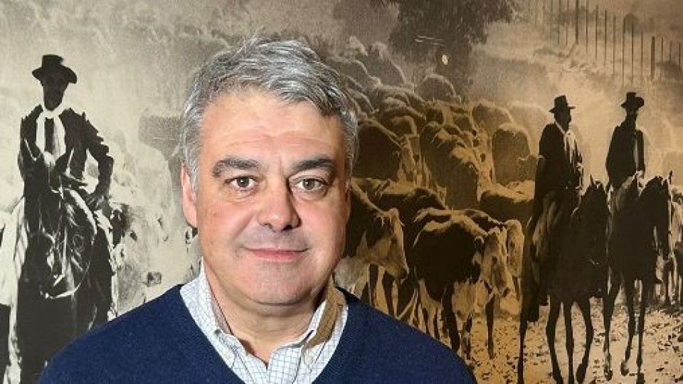 José Aicardi: diferentes factores permiten optimismo para la zafra de toros —  Ganadería — Dinámica Rural | El Espectador 810