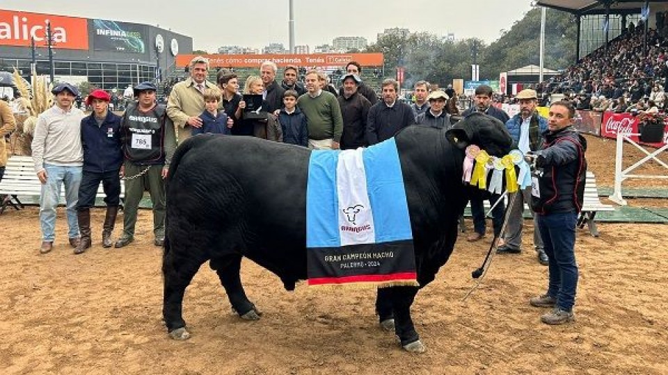 Nicolás Correa: el nivel brangus de Palermo y el crecimiento en Uruguay —  Exposiciones — Dinámica Rural | El Espectador 810