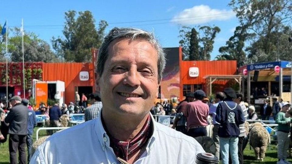 Iramendi: el nivel de los carneros que están viniendo es excelente —  Mercado Lanero — Dinámica Rural | El Espectador 810