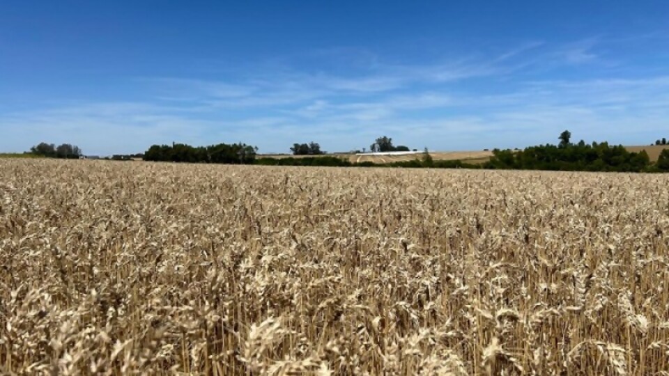 José Serra: una semana sin lluvias y con evaporación alta —  Clima — Dinámica Rural | El Espectador 810