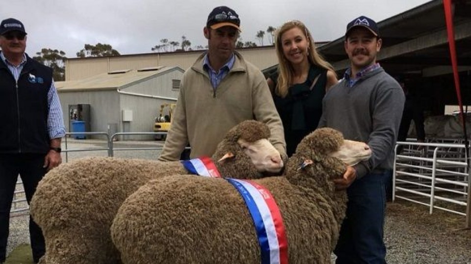 Un salteño en una de las cabañas de Merino más importantes de Australia —  Ganadería — Dinámica Rural | El Espectador 810