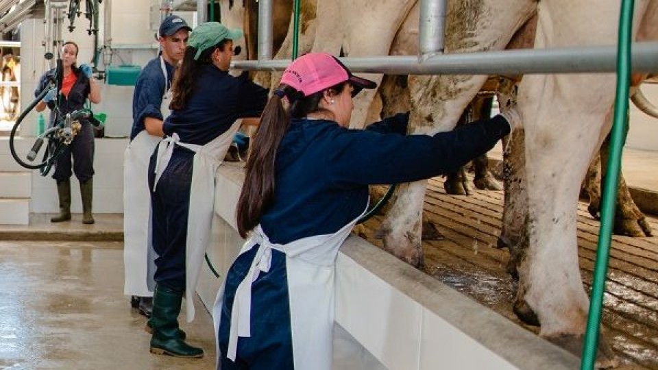 UTEC: 'La carrera Ciencia y Tecnología en el sector lácteo va en la línea de la profesionalización del sector' —  Lechería — Dinámica Rural | El Espectador 810
