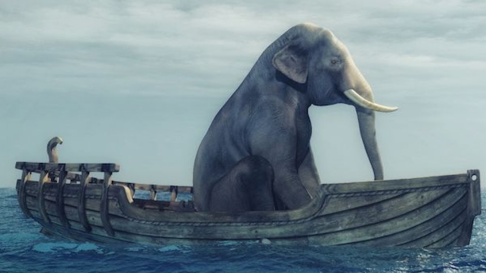 Objetivo 2020: Elefante al agua —  Audios — Otro Elefante | El Espectador 810