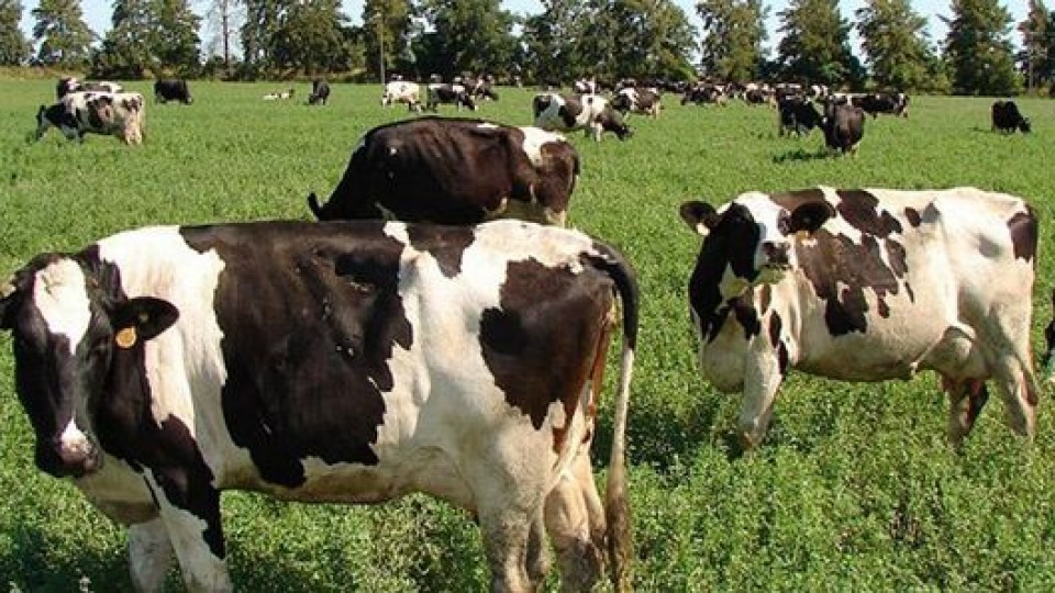 Uriarte recibe a integrantes del rubro lácteo para abordar situación y perspectivas del sector —  Lechería — Dinámica Rural | El Espectador 810