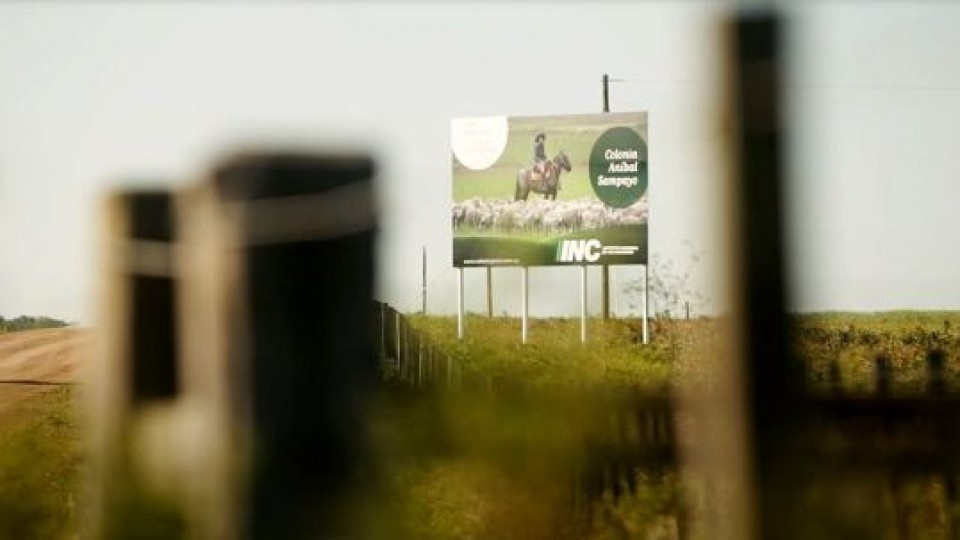 J. Cardozo: 'Vamos a fortalecer al INC puertas adentro, y seremos equitativos en la adjudicación de tierras' —  Economía — Dinámica Rural | El Espectador 810