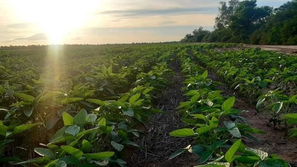 'Paraguay sigue siendo un lugar de oportunidades para uruguayos' —  Agricultura — Dinámica Rural | El Espectador 810