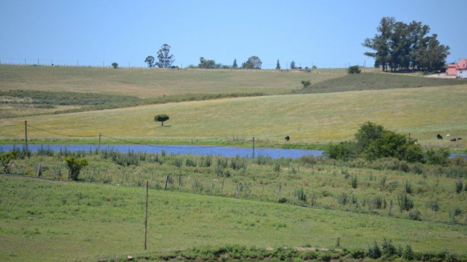 Mesa de Colonos 'discrepa' con conformación del directorio del INC —  gremiales — Dinámica Rural | El Espectador 810