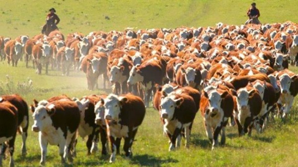 S. Da Silva: 'El objetivo es alcanzar los 13 millones de bovinos' —  Ganadería — Dinámica Rural | El Espectador 810
