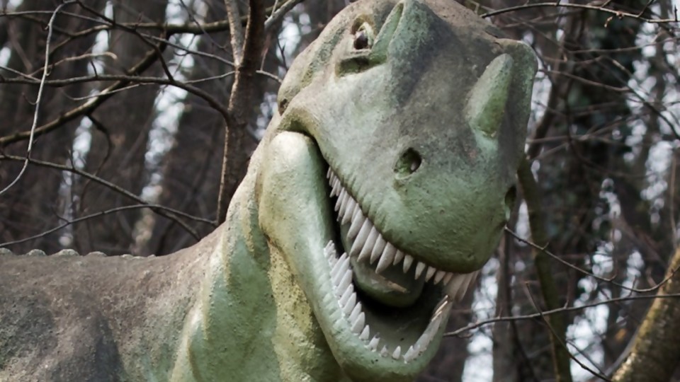 Dinosaurios carnívoros: los veganos que no tienen lugar en Uruguay —  Columna de Darwin — No Toquen Nada | El Espectador 810