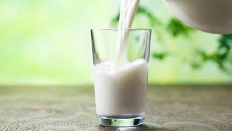 El PE fijó el precio de la leche tarifada en 32.82 por litro —  Lechería — Dinámica Rural | El Espectador 810