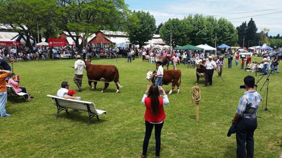 A. Alvarez: La 74a Expo Paysandú representa 'la sinergia entre la ganadería y la agricultura' —  gremiales — Dinámica Rural | El Espectador 810