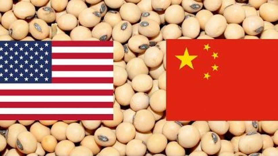 Chicago: China sigue comprando a buen ritmo la 'soja de Trump' —  Economía — Dinámica Rural | El Espectador 810