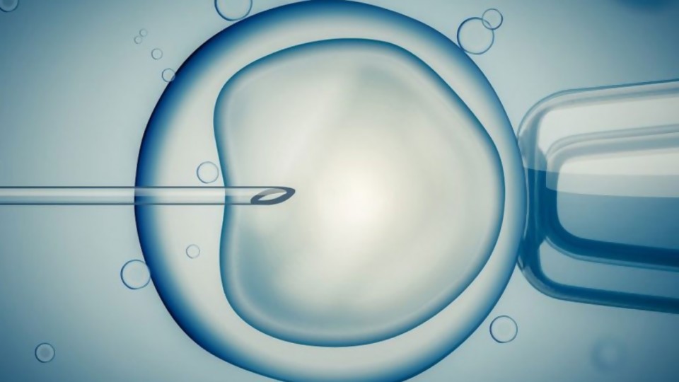 Errores y vacíos en la ley de fertilización asistida que urge corregir —  Cuestión de derechos: Dr. Juan Ceretta — Más Temprano Que Tarde | El Espectador 810