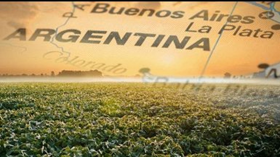 Argentina: ''El 25% de la zona agrícola está afectada por el déficit hídrico'' —  Agricultura — Dinámica Rural | El Espectador 810