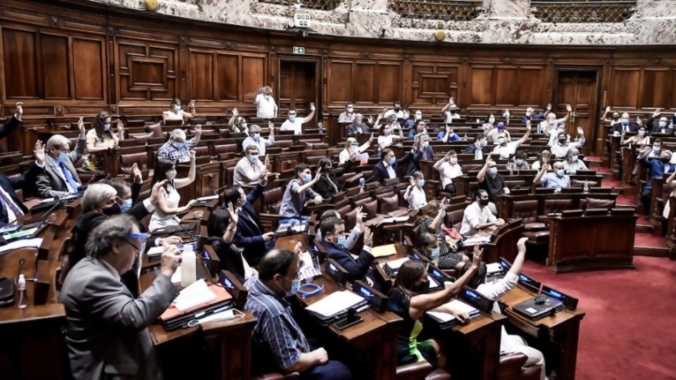 El debate en el Parlamento sobre la limitación del derecho a reunión —  Informes — No Toquen Nada | El Espectador 810