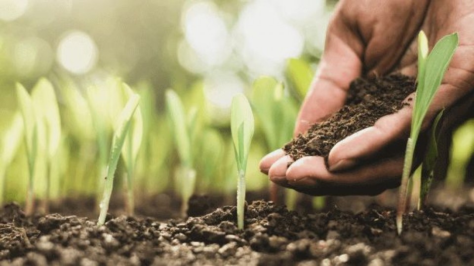 Prolesa promueve ''Plan Fertilizantes'' con beneficios especiales —  Lechería — Dinámica Rural | El Espectador 810