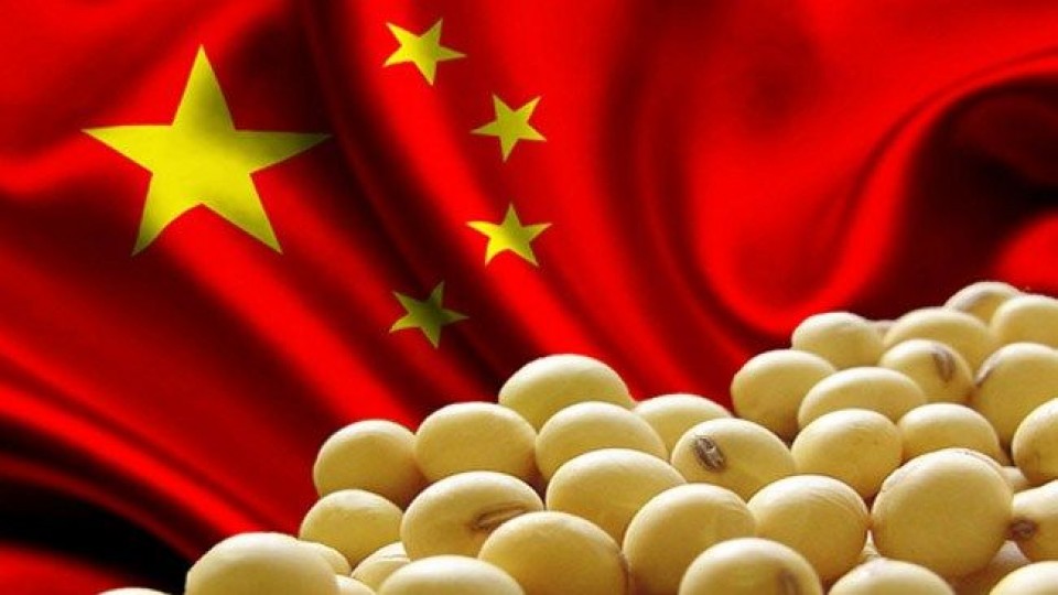 China compró, pero igual bajó la soja —  Comercio Exterior — Dinámica Rural | El Espectador 810