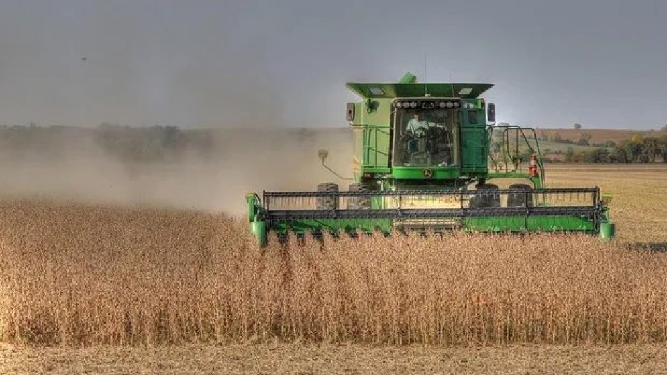 El reporte del USDA mantuvo la producción de soja de EEUU, que rondaría los 112 millones de toneladas —  Economía — Dinámica Rural | El Espectador 810