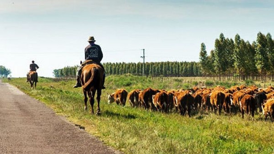 Pantalla Uruguay vendió el 97% en la segunda jornada —  Mercados — Dinámica Rural | El Espectador 810