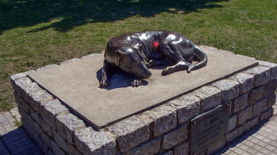 El Gaucho: la estatua que recuerda a un perro de nadie, pero de todos los duraznenses —  ¡Qué animal! — Abran Cancha | El Espectador 810