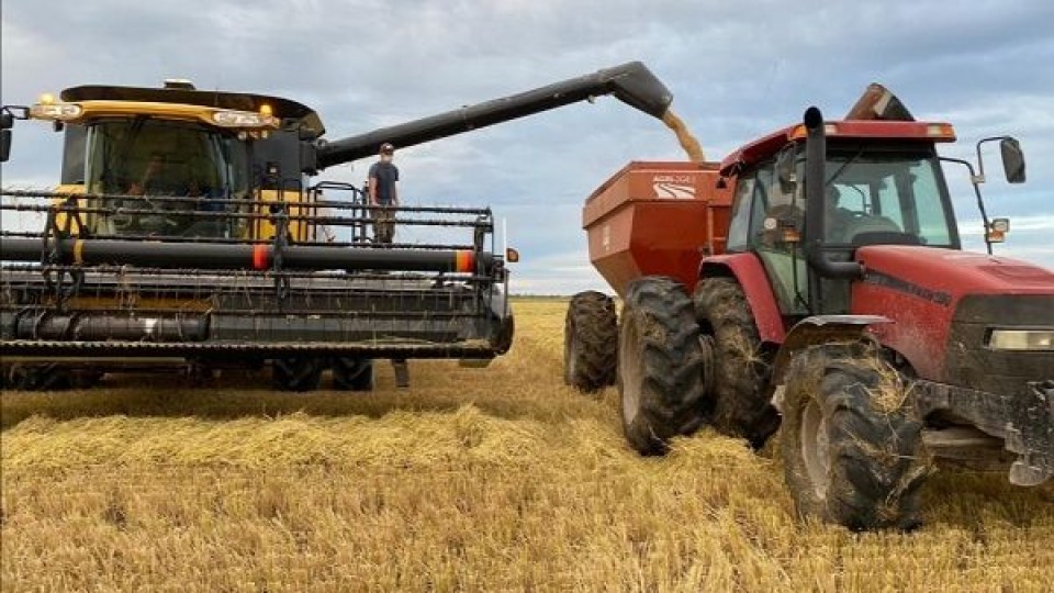 H. Zorrilla: ''En el Este se cosechó un 25% del área de arroz, y los rindes son 'muy buenos''' —  Agricultura — Dinámica Rural | El Espectador 810